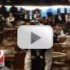 WSOP 2009: Dealers of Wsop
