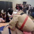 Dario Alioto contro Dario Minieri - Sfida a Sumo!