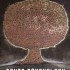 Poker Psychology di Alan Shoonmaker/David Skalnsky