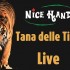 immagine tana tigri