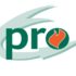 I Team PRO delle Poker Rooms Italiane