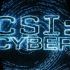 CSI e i crimini cibernetici del poker online: la lotta contro il chip dumping