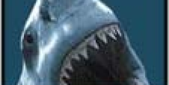 Pokerstars mette al bando Sharkscope.com