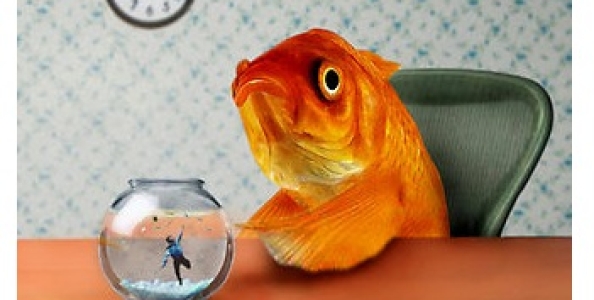 Amargosa: tra Western & Thriller