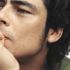 Poker e Cinema: Benicio Del Toro in un nuovo film
