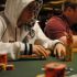 Wsop 2010, il day3 di Briotti all’evento 54 dura solo nove mani