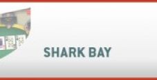 Qualificati allo Shark Bay IV su BigPoker.it