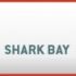 Qualificati allo Shark Bay IV su BigPoker.it