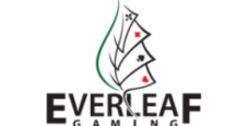 Guida a Holdem Manager su network Everleaf