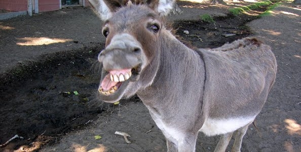 Isolare i giocatori scarsi nel poker cash game