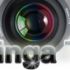 Winga TV: Roulette dal vivo