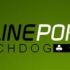 Il poker online è truccato! O no? Watchdog indaga!