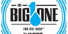 The BIG ONE for ONE DROP: ecco la novità delle WSOP 2012