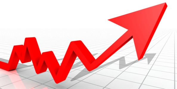 I grafici Sharkscope dei vincitori TCOOP!