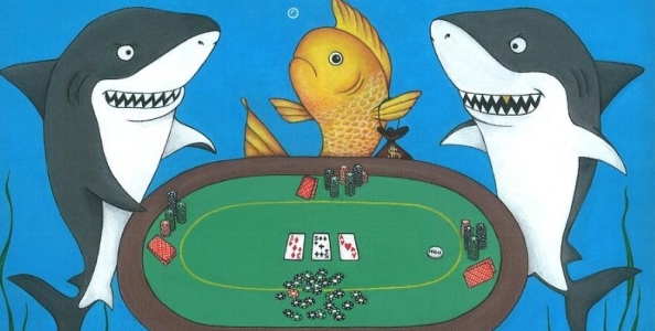 Party Poker divide il field in base alle capacità: niente più regular vs fish!