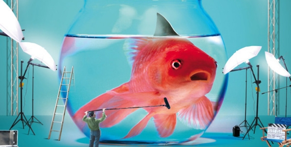 Pesce d’aprile! I migliori scherzi del primo aprile