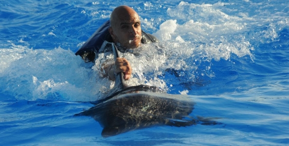 Il big shot al Sunday Special di ‘m.p.t.i.v.s.’, già vincitore del Sunday Million: “Da pazzi rifiutare quel deal!”