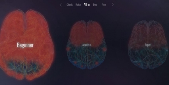 ‘Your Brain on Poker’: le attività cerebrali dei players durante il gioco!