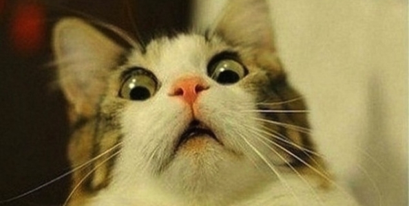 Vince 142.000$ al Sunday Million e perde tutto (anche le mutande) in due giorni al limit hold’em!