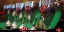 Guarda il tavolo finale della Tilt Poker Cup in diretta streaming!
