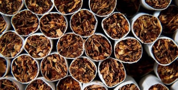 Report MTT domenicali – ‘Tabacco78’ domina all’Explosive Sunday in piena bolla