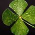 Quanto conta la fortuna nel Texas Hold’Em? Risponde la University of California (forse)