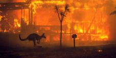 Il poker si mobilita per gli incendi in Australia: l’Aussie Millions dona 5 milioni di dollari