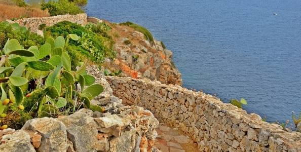 ICOOP – Salento2009 è il dominatore del giovedì! Esultano anche…