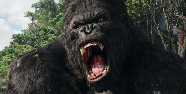 Half Price Sunday – Kingkong1277 batte Otrevuota nell’High Roller, aspettando lo Special