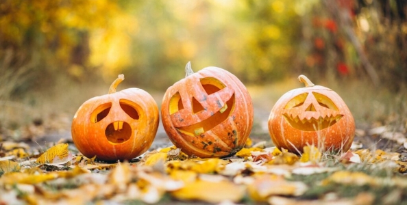 Poker online: ecco i migliori tornei domenicali del 31 ottobre