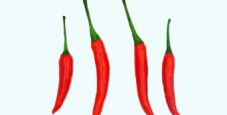 Domenica lo Spicy 50 Winter Series, nuovo torneo con 50k al vincitore