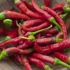 Poker online: SPICY e non solo, ecco i migliori tornei domenicali del 30 marzo
