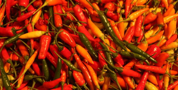 La domenica di Stars: feartheBRIT tronfa nel Super High Roller! Più di 400 passano nello Spicy 50