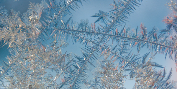 MTT domenicali: sono iniziate anche le iPoker Winter Series, tutto aperto nel Royal