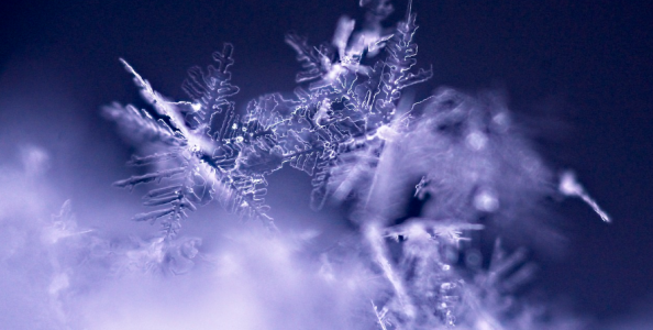 MTT domenicali: wrxt guida il Mystery Explosive Sunday, Alfroia1 il Mini