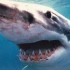 Pokerstars mette al bando Sharkscope