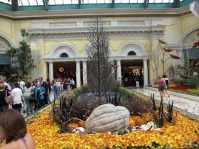 tony g las vegas