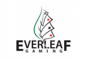 Guida a Holdem Manager su network Everleaf