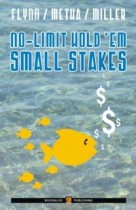 Recensione libro No Limit HoldEm Small Stakes di Flynn Metha Miller