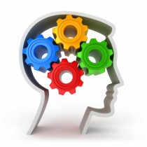 Il Mindset per il Poker – Consigli per gestire il gioco e la varianza