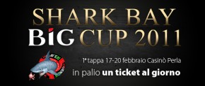 Lo Shark Bay torna nel 2011 con la BIG Cup