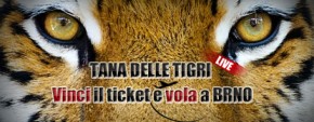 Partecipa al “Tana delle Tigri” con Poker Club