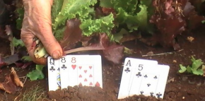 Un posto per ogni record, ogni record al suo posto