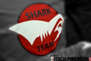 Shark Bay Seconda Tappa – Presentato il nuovo TEAM SHARK