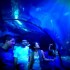 gardaland_ichim_trebbi (Custom)