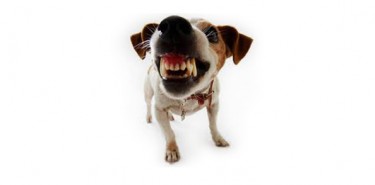 Aggredire i “dead blinds” nel Poker Cash Game