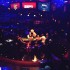Panda WSOP 2