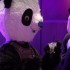 Panda WSOP