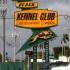 08_PalmBeachKennelC_138618a_2