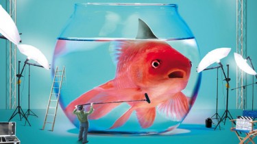 Pesce d’aprile! I migliori scherzi del primo aprile